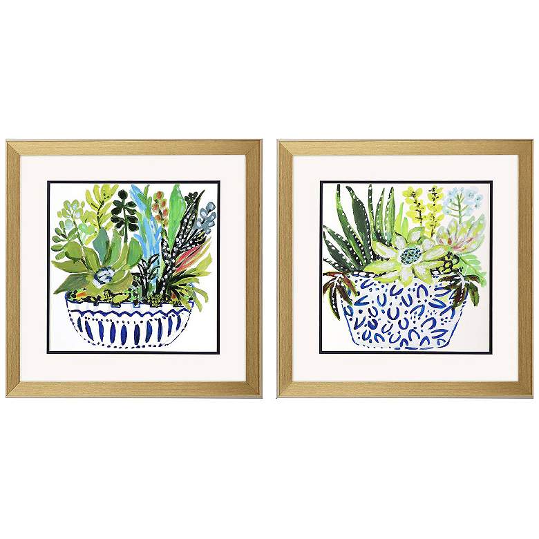 Image 1 Succulent Garden II 18"W x 18"H Framed Art Set of 2