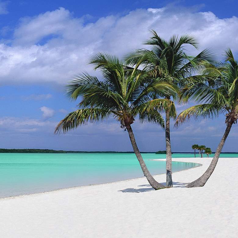 Image 2 Sugar Sand 48" Wide All-Weather Outdoor Canvas Wall Art more views
