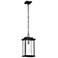 Sullivan Outdoor Hanging Lantern; Matte Black Finish; Clear Seeded Glass