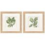 1_Summer Leaves 12"W x 12"H Framed Art Set of 2