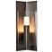 Summit 18.7" High Coastal Smoke 60W Outdoor Sconce w/ Clear Glass Shad