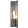 Summit 34" High Coastal Burnished Steel 75W Outdoor Sconce w/ Clear Sh