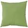 Sunbrella Ginkgo Green 18" Square Indoor-Outdoor Pillow