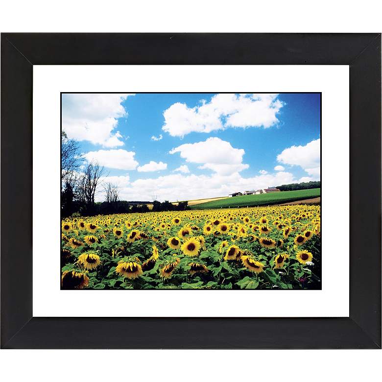 Image 1 Sunflower Field Black Frame Giclee 23 1/4 inch Wide Wall Art