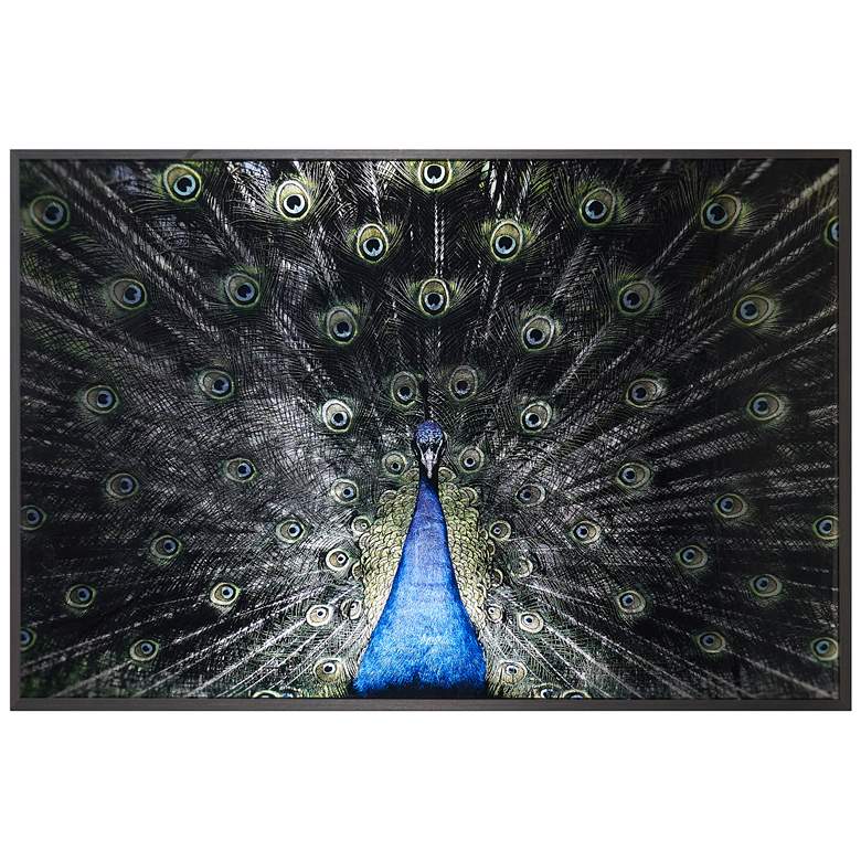 Image 1 Sunpan Brilliant Plumage 72" X 48" Charcoal Frame