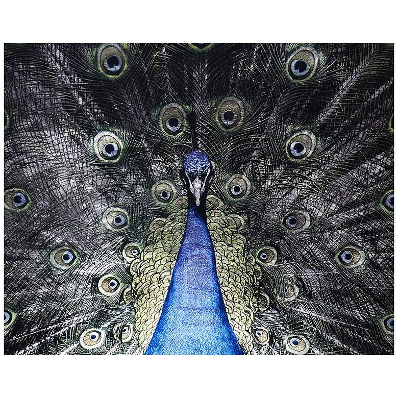 Image 3 Sunpan Brilliant Plumage 72" X 48" Charcoal Frame more views