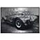 Sunpan Cobra 427 72" X 48" Charcoal Frame