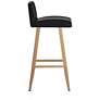 2_Sunpan Dani Counter Stool Onyx more views