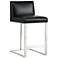 Sunpan Dean Counter Stool Stainless Steel Cantina Black