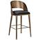 Sunpan Dezirae Barstool Antique Brass Charcoal Black Leather