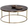 1_Sunpan Enya Coffee Table