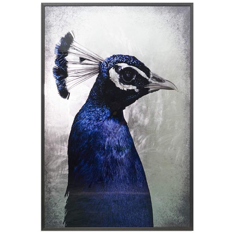 Image 1 Sunpan The Peacock 48" X 72" Charcoal Frame