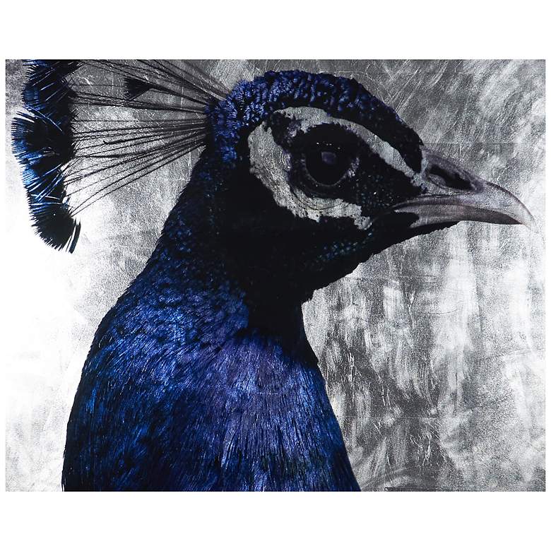 Image 3 Sunpan The Peacock 48" X 72" Charcoal Frame more views