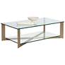 1_Sunpan Xavier Coffee Table Rectangular Antique Brass