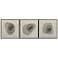 Sunpan Zen Garden (Set of 3) 30" X 30" Black Floater Frame
