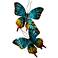 Sunset Moth Pair Turquoise 21" Wide Metal Wall Sculpture