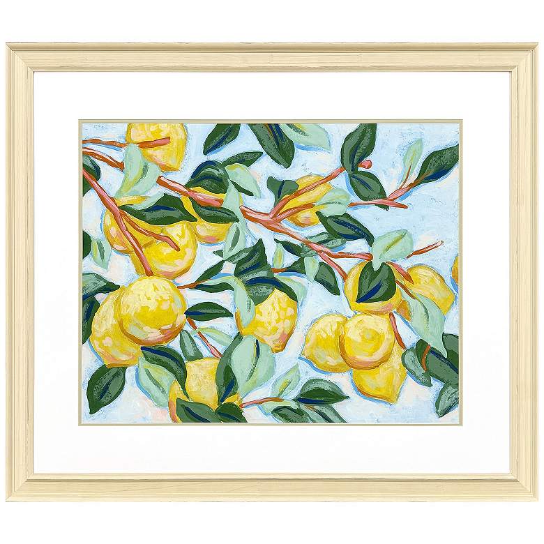 Image 1 Sunshine Citrus I 42"W x 36"H Framed Art