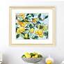 1_Sunshine Citrus I 42"W x 36"H Framed Art