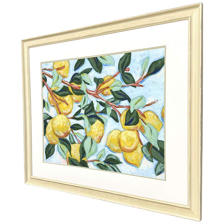 Image 3 Sunshine Citrus I 42"W x 36"H Framed Art more views