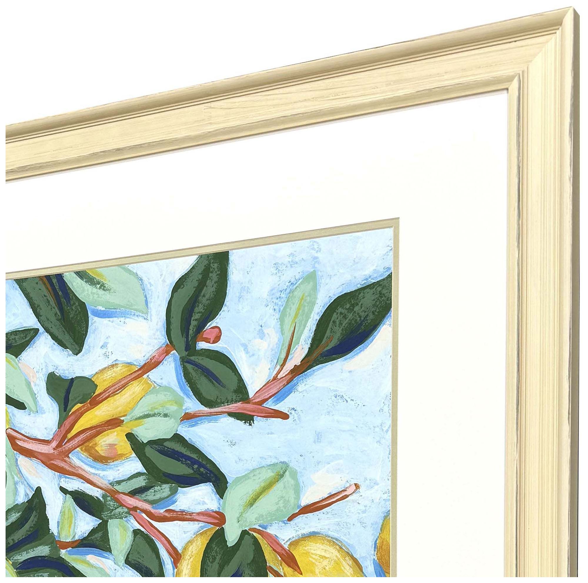 Image 4 Sunshine Citrus I 42"W x 36"H Framed Art more views