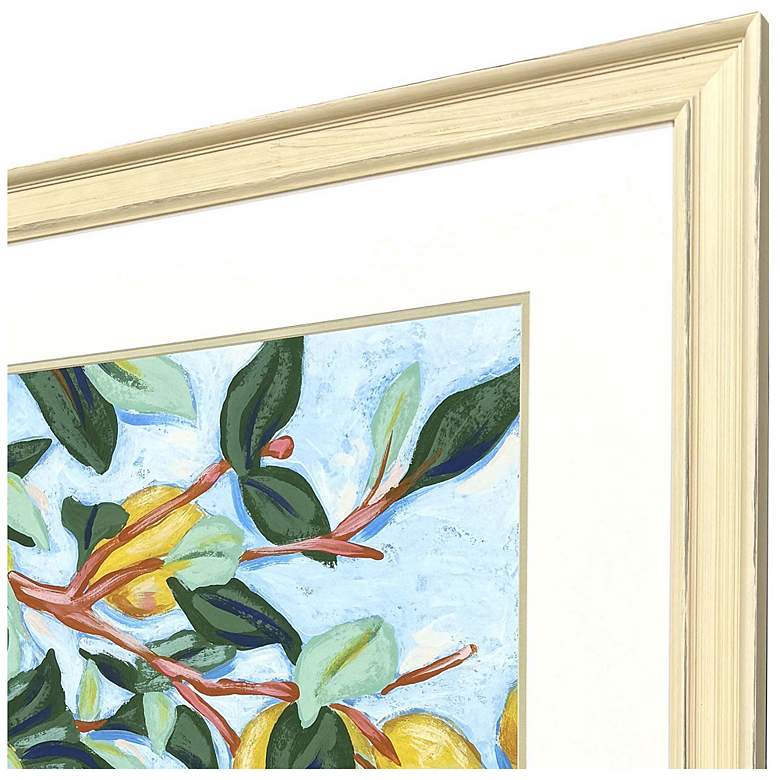 Image 4 Sunshine Citrus I 42"W x 36"H Framed Art more views
