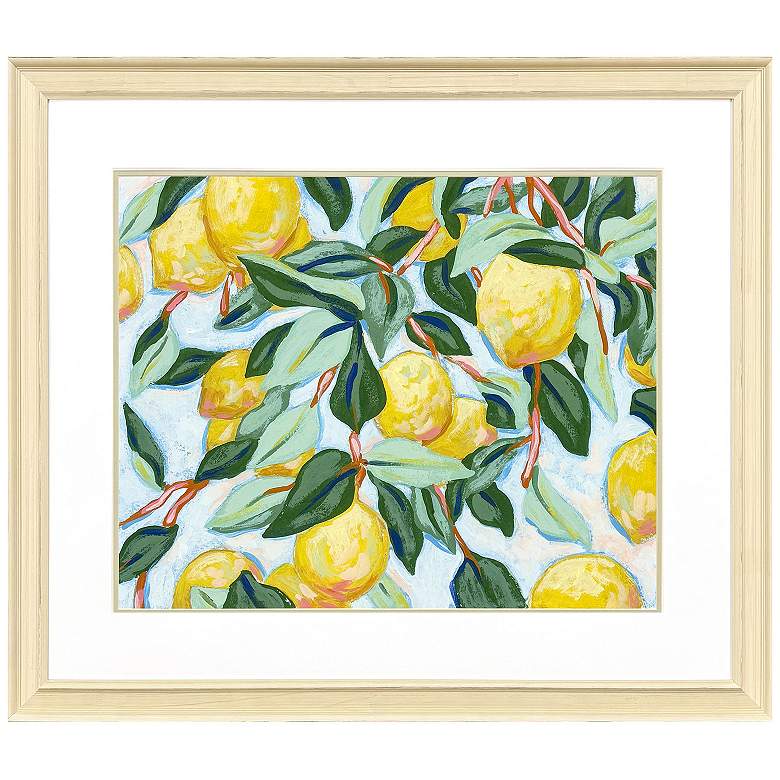 Image 1 Sunshine Citrus II 42"W x 36"H Framed Art