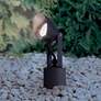 Super Duty 9" High Bronze Finish LED Landscape Spot Light in scene