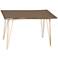 Suri 48" Wide Elm Wood Gold Metal Rectangular Dining Table