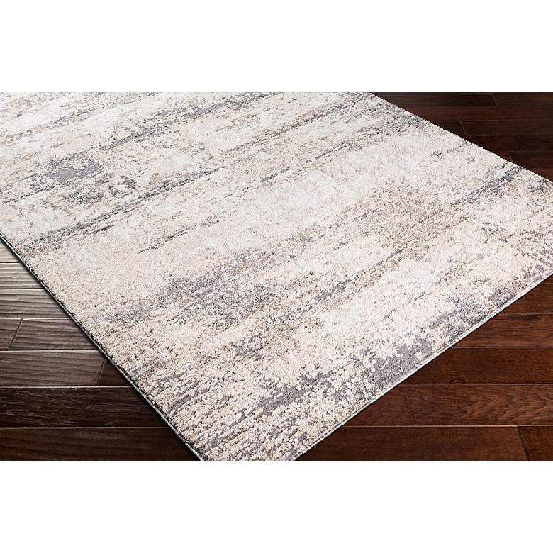 Image 7 Surya Andorra ARD-2300 5'3"x7'3" Gray Khaki Indoor Area R more views