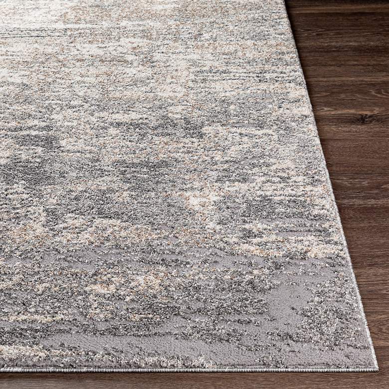 Image 4 Surya Andorra ARD-2311 5'3"x7'3" Gray Blue Indoor Area Ru more views