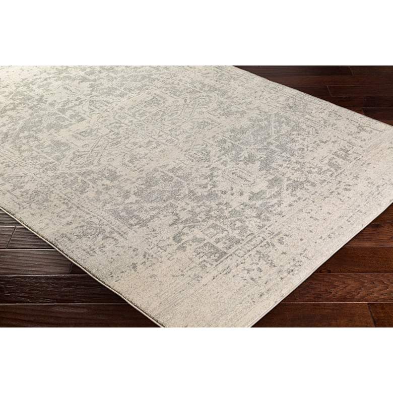 Image 4 Surya Harput HAP-1024 5'x8' Light Gray and Beige Area Rug more views