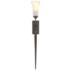 Sweeping Taper 29" High Oil-Rubbed Bronze Wall Sconce
