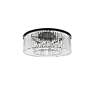 Sydney 10 Lt Matte Black Flush Mount Clear