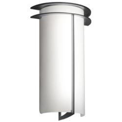 Synergy 14&quot;H Dark Iron and Opal Acrylic Exterior Sconce LED