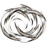Tail Spin 39&quot; Wide Metal Wall Art