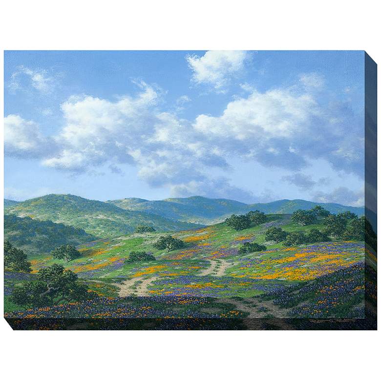 Image 1 Take the Back Road 40" Wide Outdoor Canvas Wall Art
