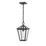 7_Talbot by Z-Lite Oil Rubbed Bronze 1 Light Outdoor Chain Ceiling Fixture more views