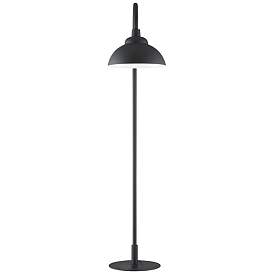Image5 of Tall 68" High Garden Light for Low Voltage Landscape Light Systems more views