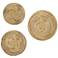 Tan and Brown Abstract Seagrass 3-Piece Round Wall Art Set