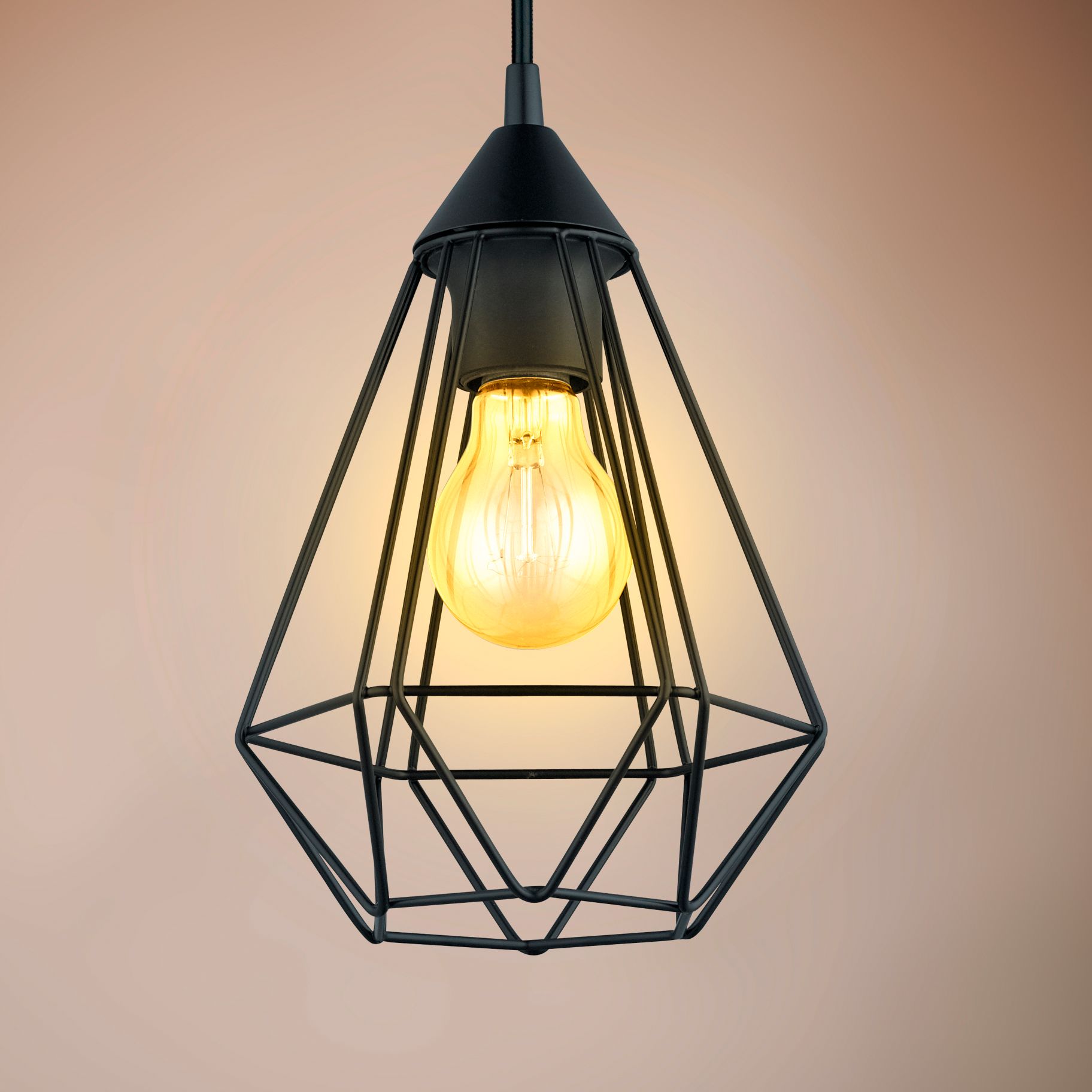 Tarbes - 1-Light Cage Pendant - Matte Black - 7 Inches