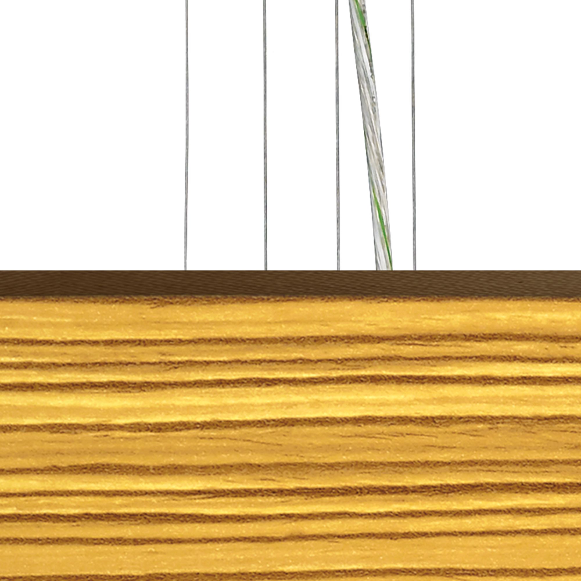 Image 2 Tawny Zebrawood Giclee 24" Wide 4-Light Pendant Chandelier more views