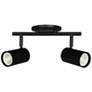 1_Taylor 15" Wide 2-Light Matte Black Finish Track Light