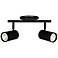 Taylor 15" Wide 2-Light Matte Black Finish Track Light