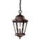 Taylor Court Collection 18 3/4" High Outdoor Hanging Lantern