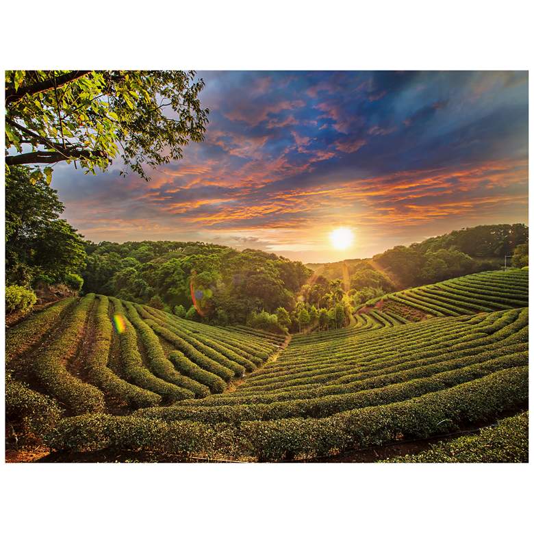 Image 1 Tea Plantation 40"W All-Season Outdoor Canvas Wall Art