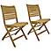 Teak Alameda Outdoor Folding Chairs Set of 2