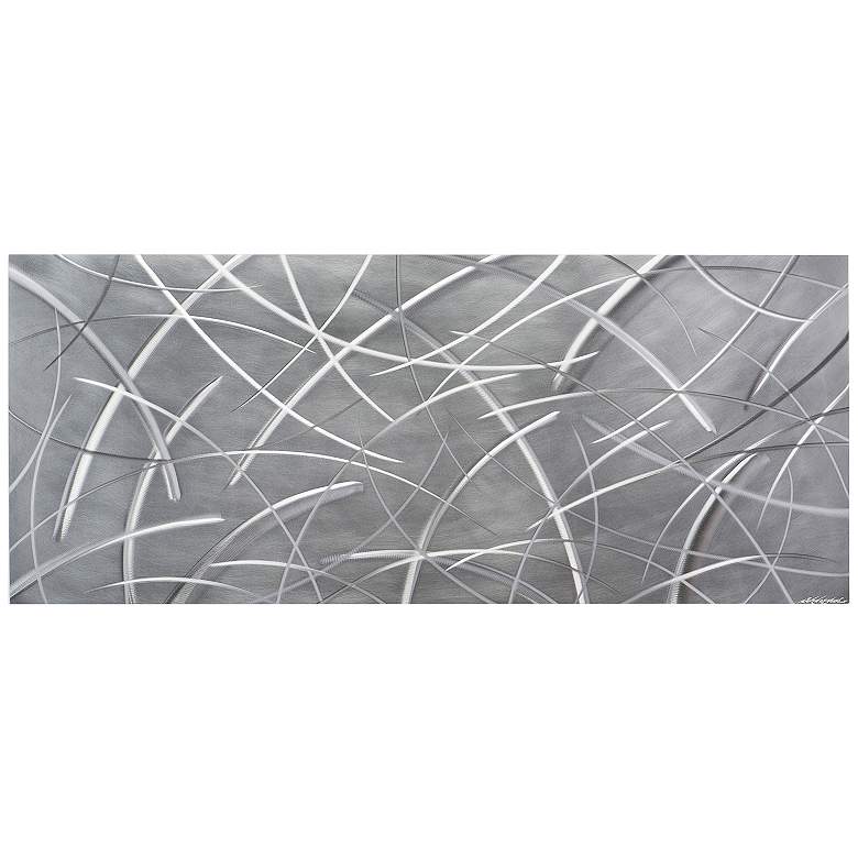 Image 1 Tenuous Composition 48" Wide HD Photo Print Metal Wall Art