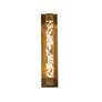 3_Terra 20" High Aged Brass LED Wall Sconce more views