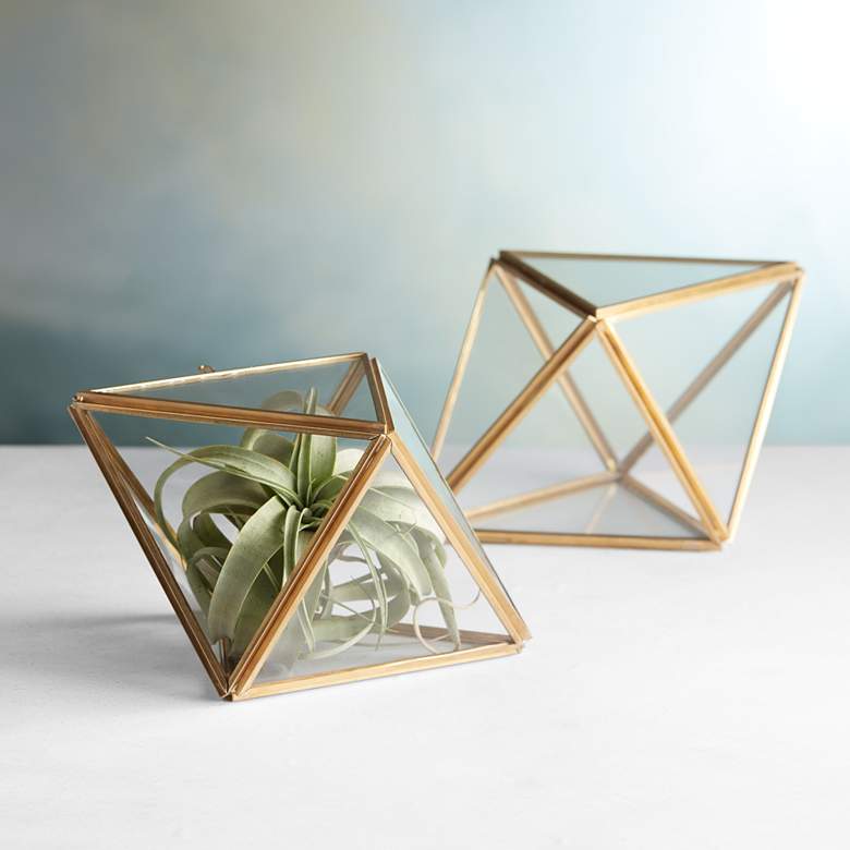 Image 1 Terra 6" Wide Set of 2 Clear Glass Terrariums