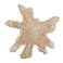 Terrains 39 1/2"W Natural Bleached Blonde Wood Wall Decor